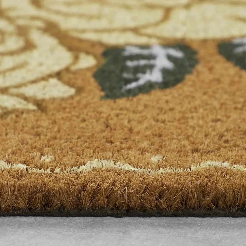My Texas House Multi Dainty Rose Outdoor Coir Mat, 18